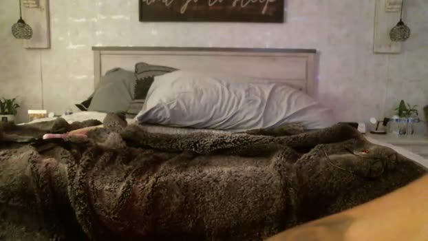frolicroom0687