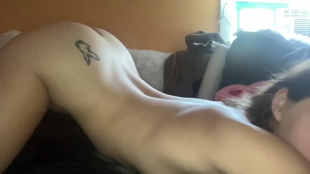 sarahxaoliver1 20-06-2024 pussy Females