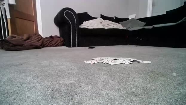 misterycouple12 02-08-2024 gag Couples