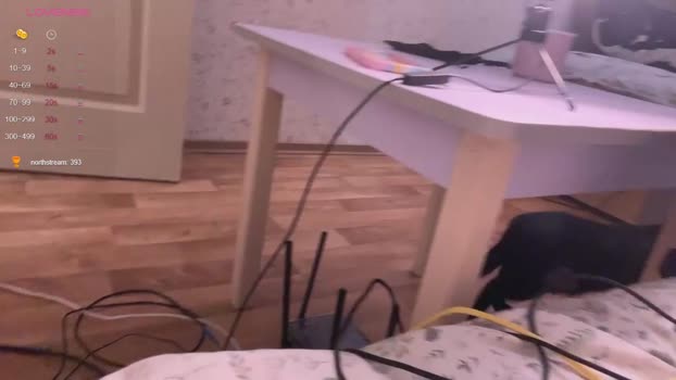 sexdrugg666 07-08-2024 XXX Couples