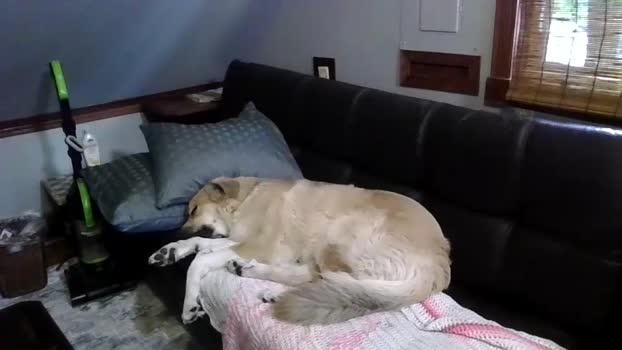 phatassblond 20-09-2024 natural Couples