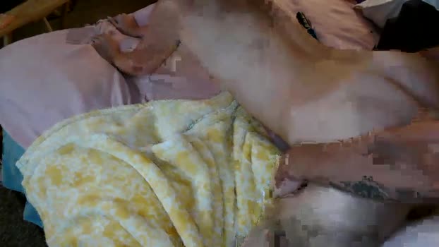 udesire25 03-10-2024 Wet Couple