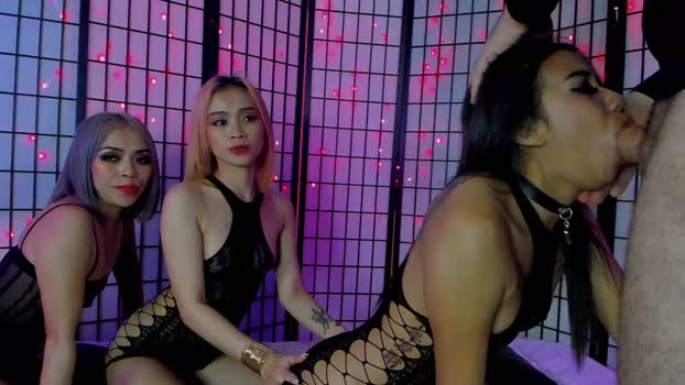 dongfatherproductions 20-10-2024 blowjob Couple
