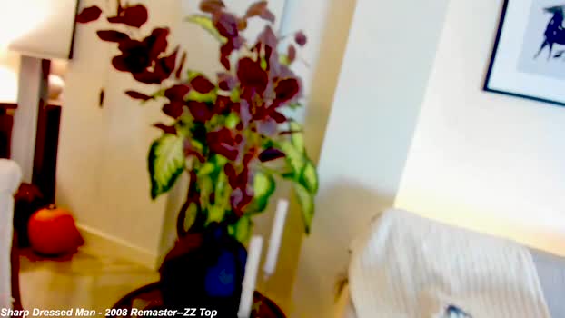 x_lily_x 08-11-2024 strip Female