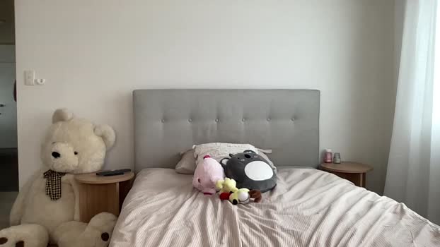 shysashy 11-11-2024 horny Female