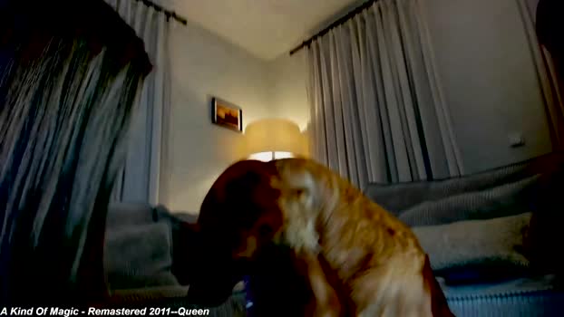 x_lily_x 17-11-2024 show Female