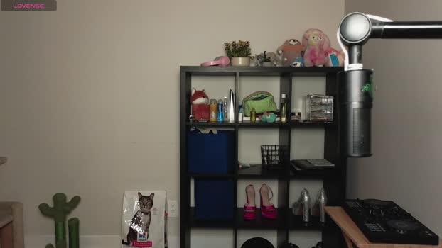 alexa_dream 21-11-2024 natural Female
