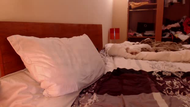 andrasweetie 24-11-2024 Ass Female
