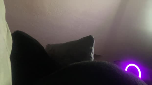 danidragon69 24-11-2024 kissing Couple