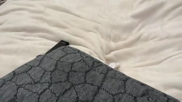addiebauer 25-11-2024 lush Female