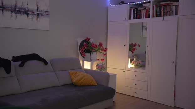 _blackbee_ 26-11-2024 play Female