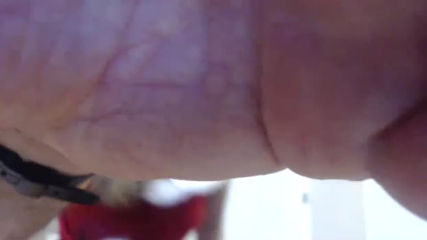 buddiup2 08-12-2024 cute Couple