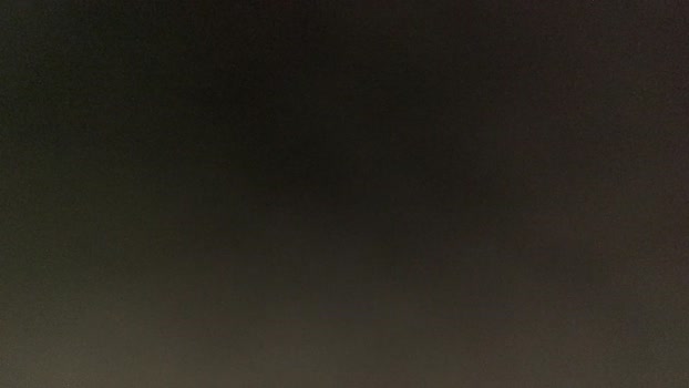 thetylerdurden0 09-12-2024 Ass Couple