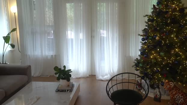 lace___ 10-12-2024 cute Female