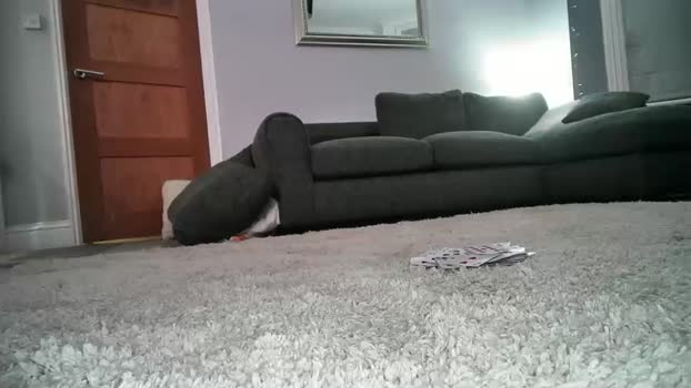 misterycouple12 11-12-2024 squirt Couple
