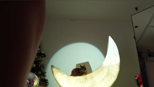 _meganmeow_ 13-12-2024 sweet Female