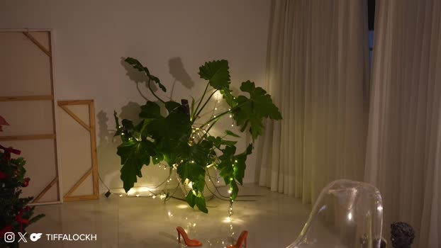 tifalock_ 29-12-2024 Show Female