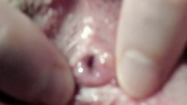 courtney_luv 02-01-2025 lickpussy Female
