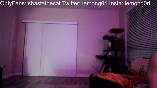 shastathecat
