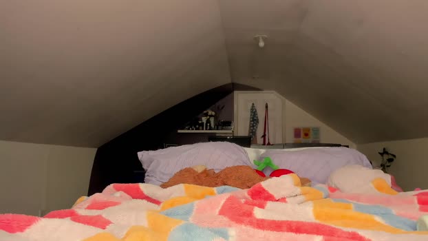 missmgrey 08-01-2025 fingering Female