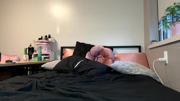 pprincesskyliee 08-01-2025 ass Female