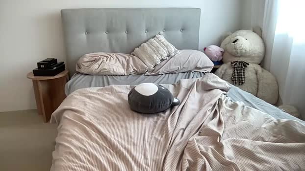 shysashy 08-01-2025 pussy Female
