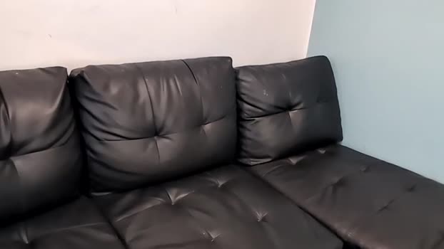 chelseelynn 09-01-2025 fuckass Couple