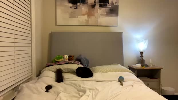 susannahxx 12-01-2025 lovense Female
