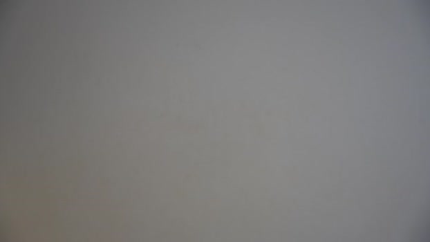 my_stella 17-01-2025 Wet Female