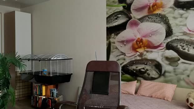 jennycutey 25-01-2025 fuck Female