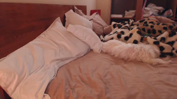 andrasweetie 29-01-2025 sexy Couple