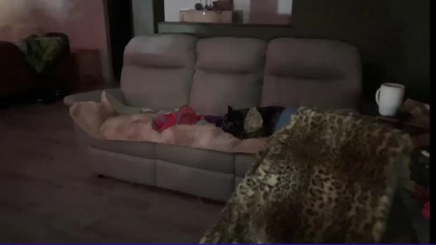 kaileeshy 31-01-2025 Pretty Female