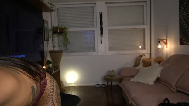 kaligray10 12-02-2025 sexykitty Female