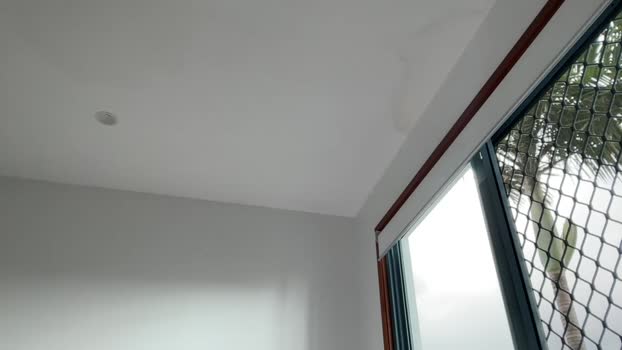 yourgeorgiakingg 18-02-2025 kink Female