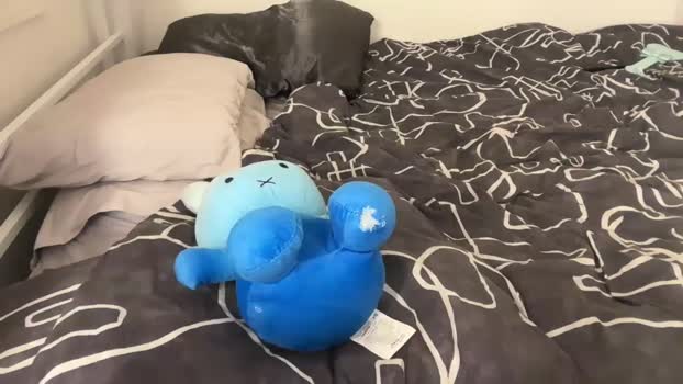 skyyler1 03-03-2025 sexygirl Female