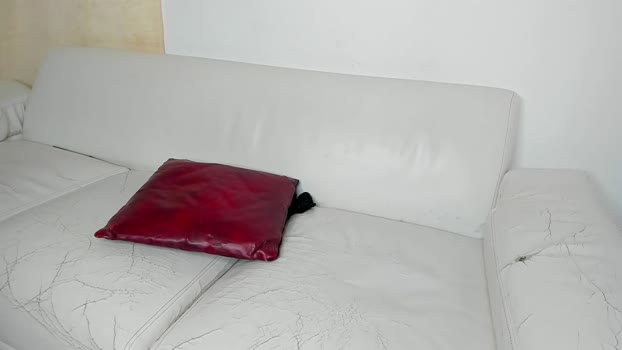 hotwet_ 09-03-2025 strip Couple