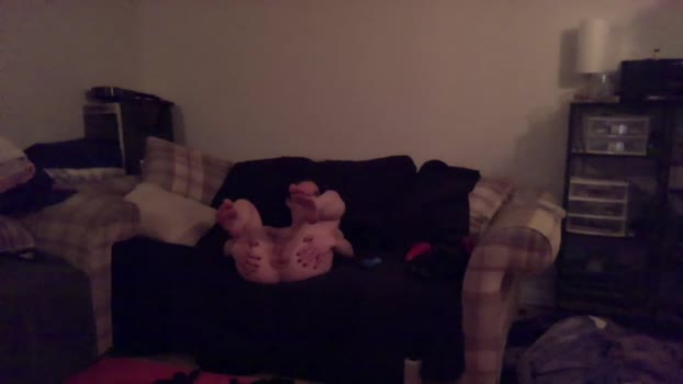 hornydiscovery