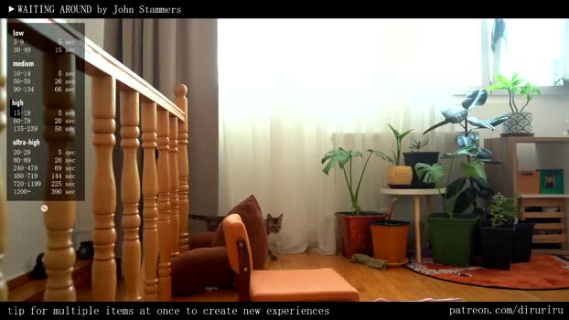 ms_dira 01-04-2025 bigass Female
