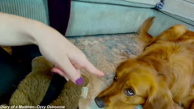 x_lily_x 01-05-2025 prettyface Female