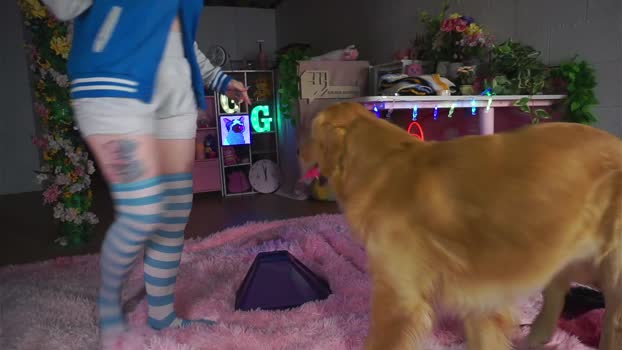 goldengoddessxxx 17-05-2025 ass Female