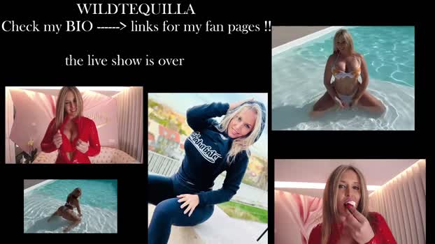 wildtequilla 21-05-2025 fuckface Female