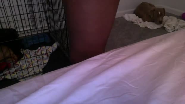 iluvmygirll 04-06-2025 orgasm Couple