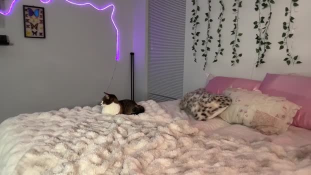 jocelyynn 18-06-2025 naughty Female