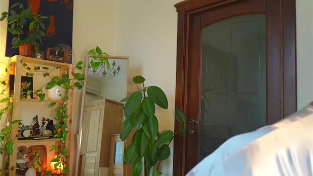 eli_sun 25-08-2025 Show Female