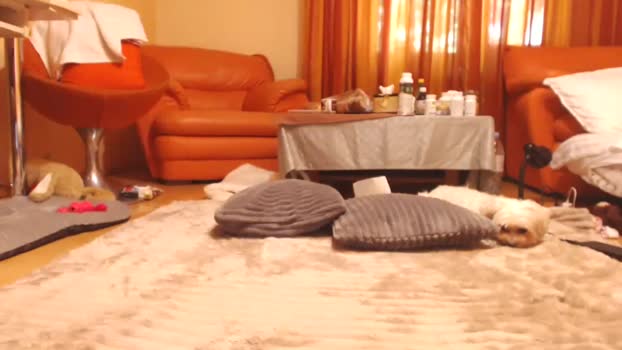 andrasweetie 27-08-2025 Ass Couple