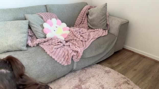 julietmills 24-09-2025 play Female