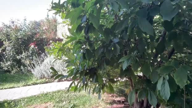 patry333 24-09-2025 show Female