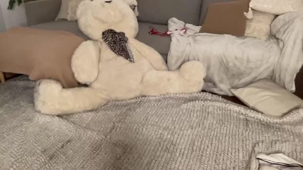 shysashy 10-10-2025 natural Female