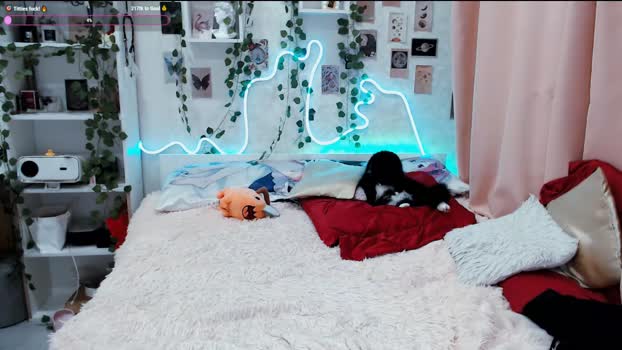 meow_on_da_cam 15-10-2025 hot Couple