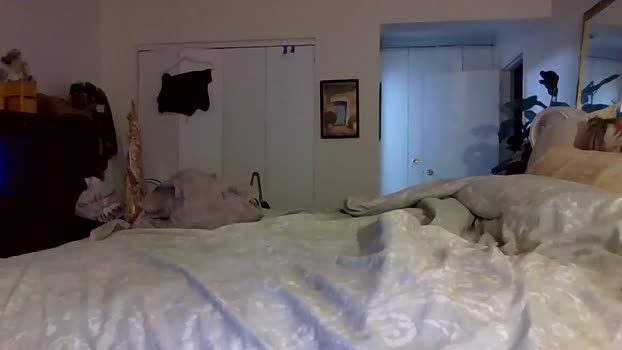 bigjoed233 22-10-2025 fuckface Couple